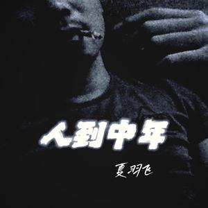 人到中年