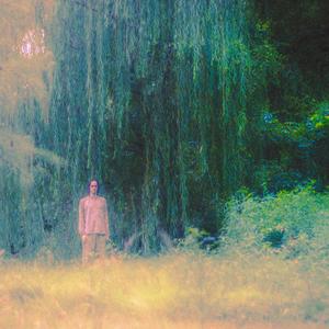 clarity besought