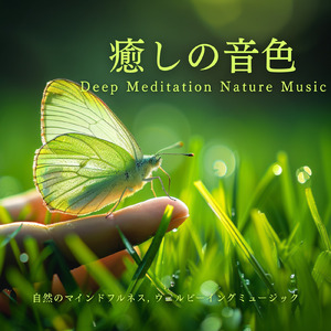 疲れた心と身体を癒す 短時間でも深く眠れる睡眠導入BGM 自律神経にもやさしい (寝落ちのピアノの森)