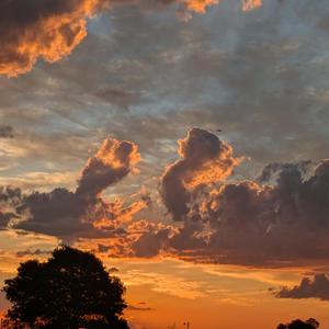 Denouement (feat. Jeremiah McDade & David Woodhead)