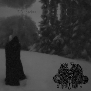 Caught Up in a Dream of Shadows and Doppelgangers