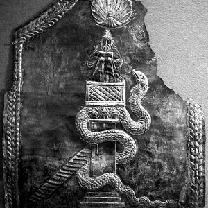 El Rey de Plaza Nueva