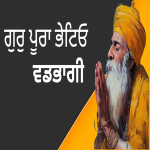 ਗੁਰੁ ਪੂਰਾ ਭੇਟਿਓ ਵਡਭਾਗੀ