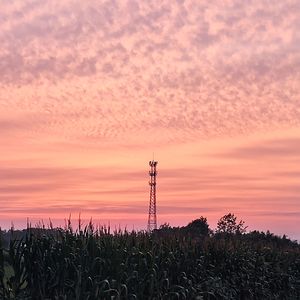 平凡的周末(prod.by Lisure)