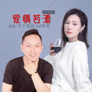 爱情苦酒 (DJRN对唱版)