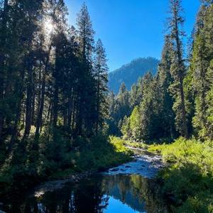 等你到冬天 (Cover 张德伊玲)