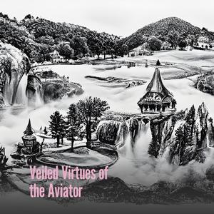 Veiled Virtues of the Aviator