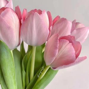 我喜欢上你时的内心活动