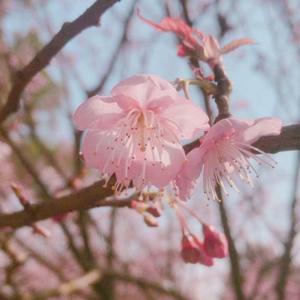 ねむるまち（翻自 yama）