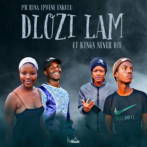 Dlozi lam (feat. Stonner da Vocalist, Klowyy & Mr Rina imfenenkulu)