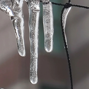 Retreat of the Glaciers