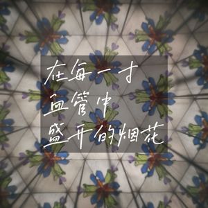 在每一寸血管中盛开的烟花