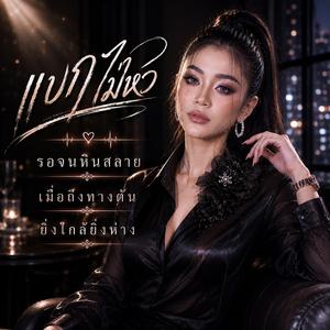 แบกไม่ไหว, รอจนหินสลาย, เมื่อถึงทางตัน, ยิ่งใกล้ยิ่งห่าง