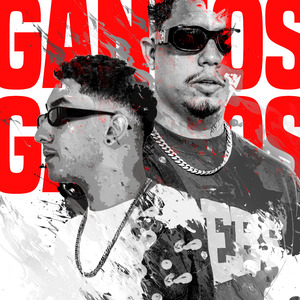 Ganhos