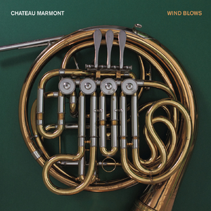 Wind Blows (Discodeine Remix)