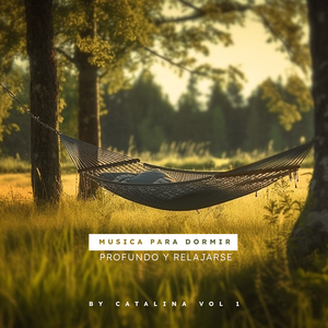 Wandering in the Woods