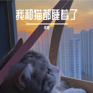我和猫都睡着了（Prod by FRESH_ye ）
