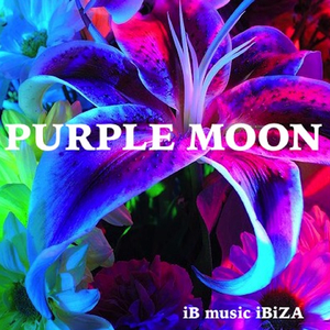 Purple Moon