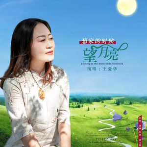 想家的时候望月亮