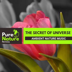 Classical River Tale