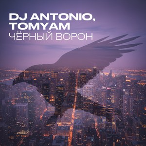 Чёрный ворон