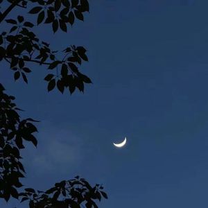 夏夜离愁