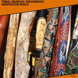 The Ethnic Electronic Traditional Didgerdioo (Cinematic Style Drumming)