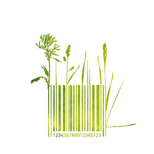 あったかいんだからぁ♪ (Originally Performed by クマムシ) -オルゴール-