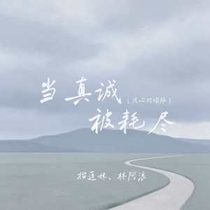 当真诚被耗尽(走心对唱版)