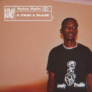 Diary (feat. FRND & B l a z e_ Zw)
