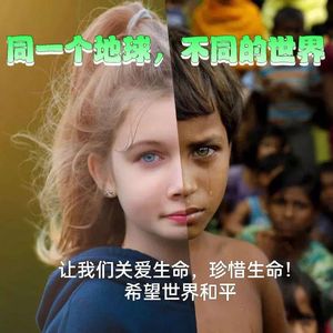 同一个世界-周述芽
