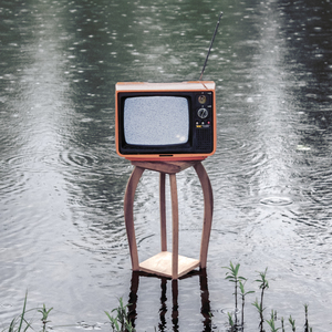 Våra Förfäders Simulation