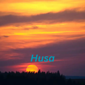 Husa