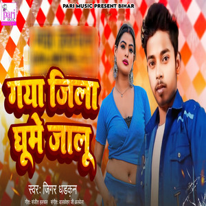 Gaya Jila Ghume Jalu