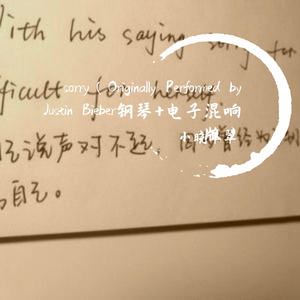 Disco Fever-Sorry（小晓翠翠 remix）