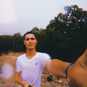 Somewhere in the woods