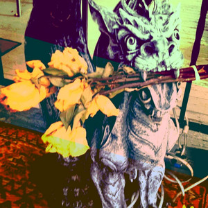 Trophies