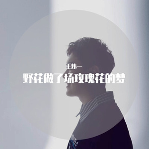 王炜一 -野花做了场玫瑰花的梦（男版）