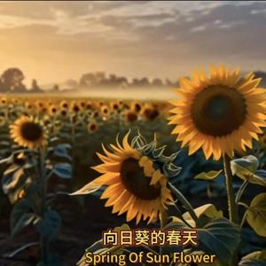 向日葵的春天Spring of sunflower-3.wav