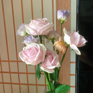 光晕里的心跳