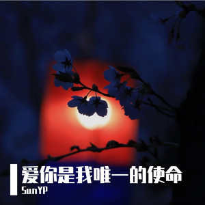 爱你是我唯一的使命