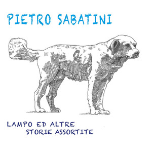 Non Si Può Fermare