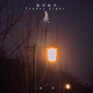 又是一个睡不着的夜晚 (正式版)