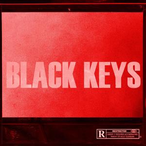 BLACK KEYS22