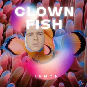 CLOWN FISH