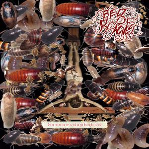 Feeding trustie crusties rusty nails