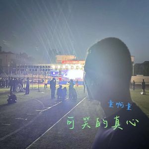 可笑的真心
