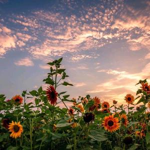 时不我待（prod by FRESH_ye）