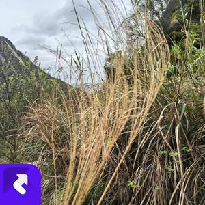 一个人的路口 (现场)