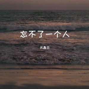 忘不了一个人